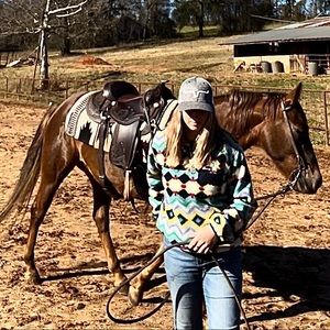 Meet your Posher, Sydney